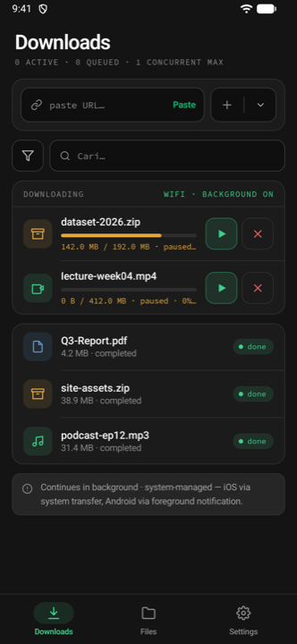 Rely Downloads screen showing a download queue, pause and resume controls, and completed files